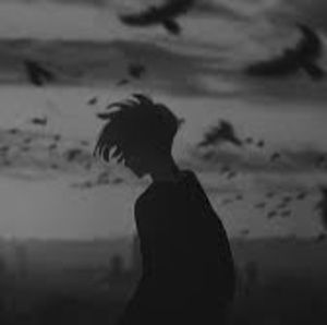 Meet your Posher, Finn